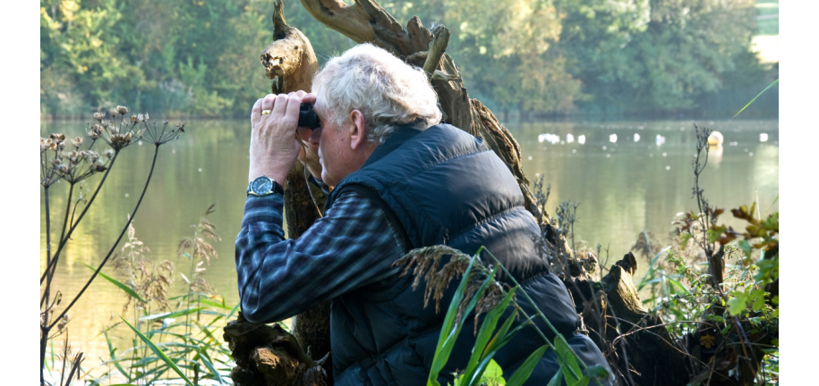 Verrekijker vogel